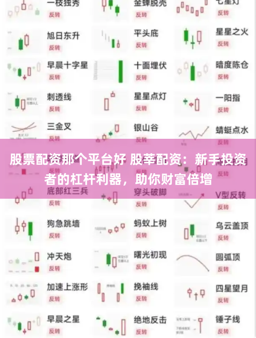 股票配资那个平台好 股莘配资：新手投资者的杠杆利器，助你财富倍增